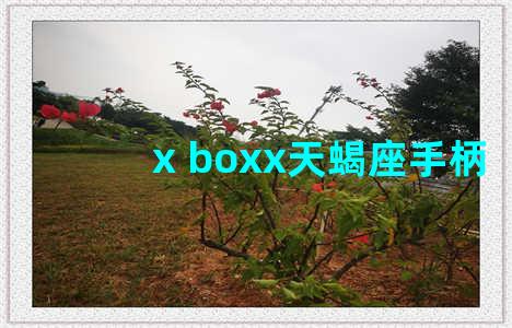 x boxx天蝎座手柄